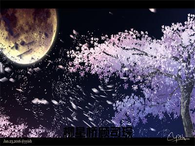 番外+免费小说《柳星桥顾司琛》全文免费阅读无弹窗-柳星桥顾司琛小说全文在线赏析_笔趣阁