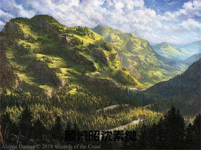 沈素微顾景昭的小说（顾景昭沈素微）免费阅读_沈素微顾景昭小说免费阅读-笔趣阁（顾景昭沈素微）