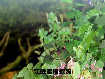 江晚凝周叙深（周叙深江晚凝）全文免费阅读无弹窗大结局_（周叙深江晚凝无弹窗）_笔趣阁