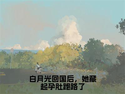 白月光回国后，她藏起孕肚跑路了（厉霆西苏又灵）全文免费阅读无弹窗_（厉霆西苏又灵）白月光回国后，她藏起孕肚跑路了最新章节列表