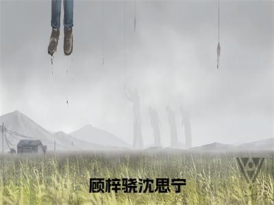 沈思宁顾梓骁（顾梓骁沈思宁）全文免费阅读无弹窗大结局_顾梓骁沈思宁最新章节列表_笔趣阁