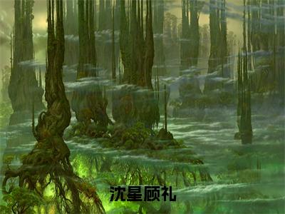 （沈星顾礼）沈星顾礼全文免费阅读无弹窗完整版_沈星顾礼小说全文免费阅读