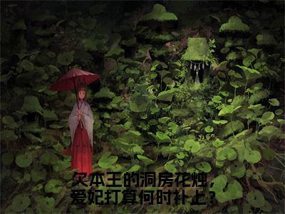 欠本王的洞房花烛，爱妃打算何时补上？免费阅读（北冥轩苏悦）完整版全文全章节阅读（北冥轩苏悦免费+番外）