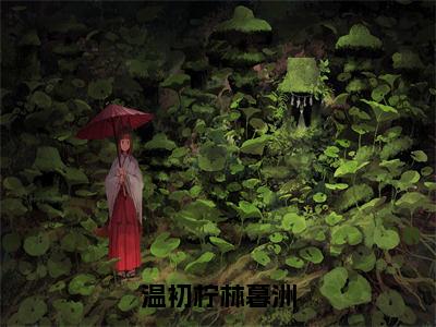 温初柠林暮洲在线阅读无弹窗_林暮洲温初柠最新章节列表_笔趣阁