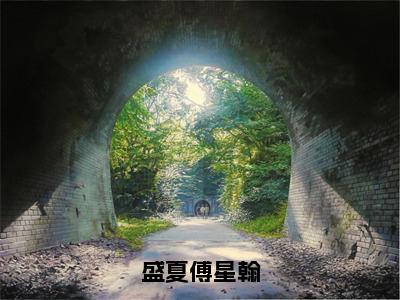 后续+全集盛夏傅星翰（完整版）热文小说阅读-盛夏傅星翰全文抖音热推