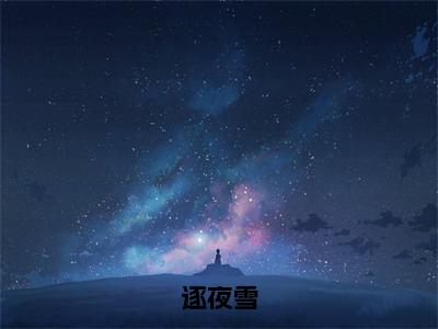 逐夜雪（燕如意贺郁之）全文免费阅读无弹窗大结局_逐夜雪全文免费完结版阅读（燕如意贺郁之）