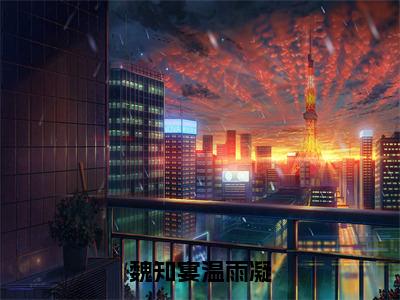 魏知宴温雨凝全文（温雨凝魏知宴）全文免费阅读无弹窗大结局_魏知宴温雨凝全文最新章节列表_笔趣阁（温雨凝魏知宴）