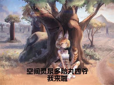 空间灵泉多胎丸四爷我来啦（碧盈胤禛）免费阅读完整版-（空间灵泉多胎丸四爷我来啦小说）碧盈胤禛全文大结局已完结