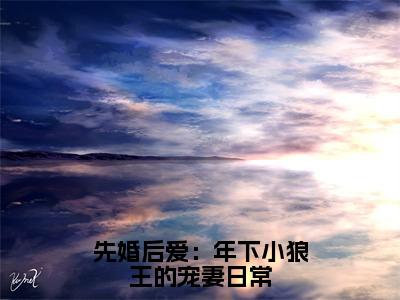 先婚后爱：年下小狼王的宠妻日常全文免费阅读_（沈清棠琅斐免费阅读无弹窗）先婚后爱：年下小狼王的宠妻日常最新章节列表笔趣阁