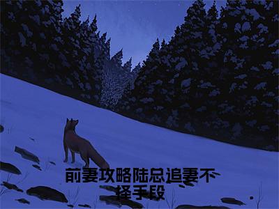 时夏陆迟渊完整版（前妻攻略陆总追妻不择手段小说）全文免费阅读无弹窗大结局_前妻攻略陆总追妻不择手段最新章节