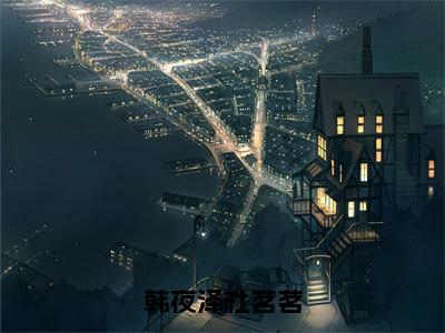 韩夜泽杜茗茗（杜茗茗韩夜泽）全文免费阅读无弹窗大结局_韩夜泽杜茗茗小说全文免费阅读最新章节列表（杜茗茗韩夜泽）