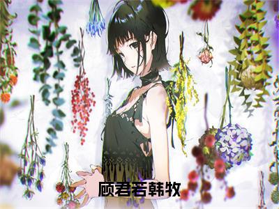 顾君若韩牧（韩牧顾君若）小说全文免费读无弹窗大结局_顾君若韩牧小说全文免费阅读最新章节列表