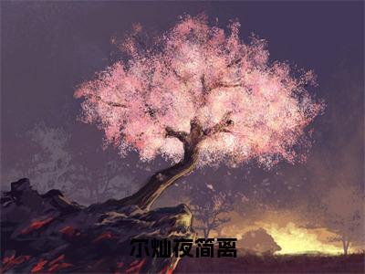 尔灿夜简离小说（简离尔灿夜）全文完整版免费阅读-简离尔灿夜全文完整版免费阅读（简离尔灿夜）