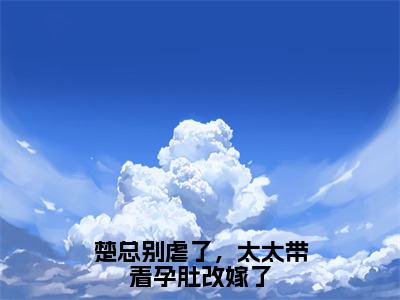 林惜楚时晏（楚总别虐了，太太带着孕肚改嫁了）全文免费阅读无弹窗大结局_林惜楚时晏全文免费阅读