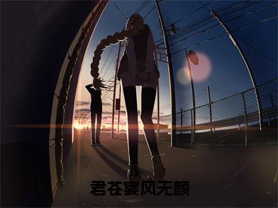 君苍宴风无颜（风无颜君苍宴）全文免费阅读无弹窗大结局_风无颜君苍宴小说免费最新章节列表_笔趣阁