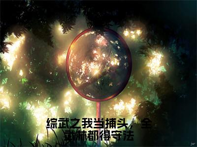 张白综武之我当捕头，全武林都得守法全文免费完整版，张白最新章节完整版阅读