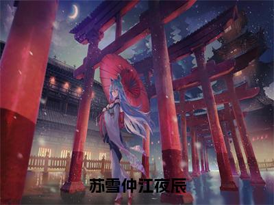 苏雪仲江夜辰免费阅读无弹窗，小说江夜辰苏雪仲大结局全文免费阅读