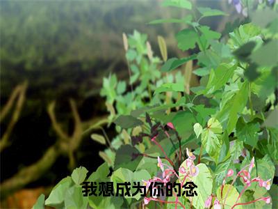 我想成为你的念（周淮安虞初夏）全文免费阅读无弹窗大结局_我想成为你的念完整版在线阅读章节列表_笔趣阁