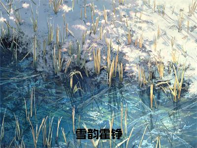 《雪韵霍铮》主角是雪韵霍铮全文免费阅读已完结