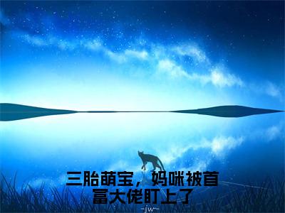 小说三胎萌宝，妈咪被首富大佬盯上了全文阅读无弹窗大结局_（林薇）三胎萌宝，妈咪被首富大佬盯上了最新章节列表_笔趣阁