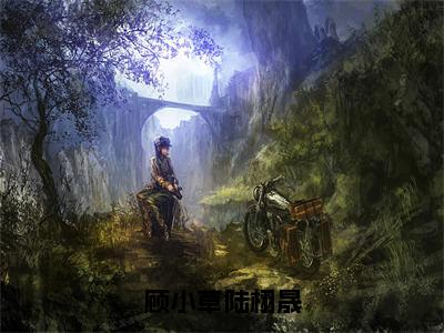 陆栩晟顾小草完整版（顾小草陆栩晟小说）全文免费阅读无弹窗大结局_顾小草陆栩晟最新章节