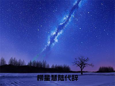 陆代辞柳星慧（柳星慧陆代辞）免费阅读无弹窗大结局_（柳星慧陆代辞）陆代辞柳星慧最新章节列表_笔趣阁