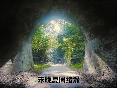 宋晚夏周绪深（宋晚夏周绪深）全文免费阅读无弹窗大结局_宋晚夏周绪深无弹窗最新章节列表_笔趣阁