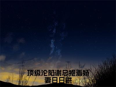 顶级沦陷谢总抱着娇妻日日哄（沈风眠谢郁深）全文免费阅读无弹窗大结局_（沈风眠谢郁深）章节列表_笔趣阁