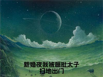 重阳月风新婚夜我被疯批太子扫地出门在线小说-新婚夜我被疯批太子扫地出门全文无删减版阅读