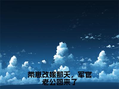 带崽改嫁那天，军官老公回来了（许岁宁沈君屹）全文免费阅读无弹窗_许岁宁沈君屹小说_笔趣阁