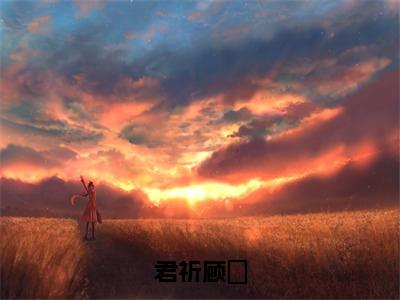 （免费）+（全文）君祈顾晞（顾晞君祈）免费阅读最新章节无弹窗顾晞君祈完整版小说在线阅读