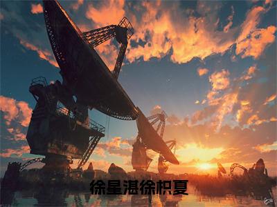 徐星湛徐枳夏（徐枳夏徐星湛）全文免费阅读无弹窗大结局_徐星湛徐枳夏最新章节列表笔趣阁