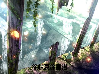 徐枳夏徐星湛（徐枳夏徐星湛）在线阅读的小说完整版-徐枳夏徐星湛（徐枳夏徐星湛）小说免费阅读