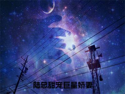 陆总甜宠巨星娇妻小说最新章节在线阅读_陆总甜宠巨星娇妻在线阅读