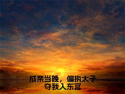 成亲当晚，偏执太子夺我入东宫（贺玥宁如颂）全文免费阅读大结局_贺玥宁如颂免费在线阅读无删减