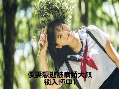 傻妻想逃被病娇大叔锁入怀中！全集完整版大结局-芸念霍慎洲小说在线赏析