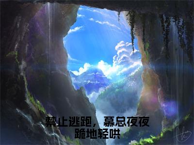 禁止逃跑，慕总夜夜跪地轻哄小说无弹窗（阮星时慕霖霄）全文免费阅读无弹窗大结局_阮星时慕霖霄最新章节列表_笔趣阁