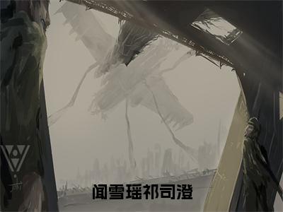 闻雪瑶祁司澄（祁司澄闻雪瑶）完整版小说阅读_闻雪瑶祁司澄全文免费阅读最新章节列表_笔趣阁