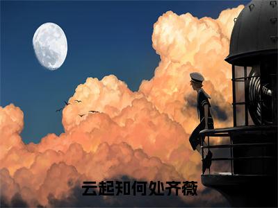 云起知何处齐薇（齐薇）精彩小说-小说齐薇全文无删减版免费阅读