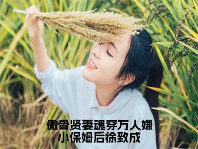 傲骨贤妻魂穿万人嫌小保姆后徐致成（林静徐致成）全文免费阅读无弹窗大结局_傲骨贤妻魂穿万人嫌小保姆后徐致成小说全文免费阅读最新章节列表（林静徐致成）