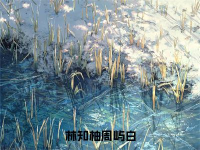 林知柚周屿白（林知柚周屿白全章节完整版）免费阅读-林知柚周屿白全文无删减阅读