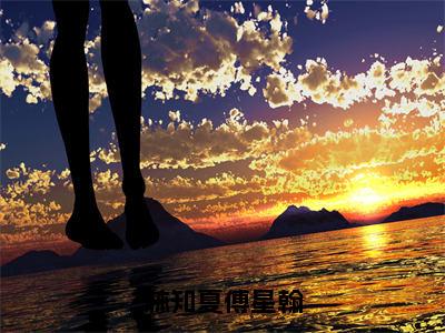 林知夏傅星翰免费阅读无弹窗大结局-傅星翰林知夏（最新全章节大结局）全文阅读