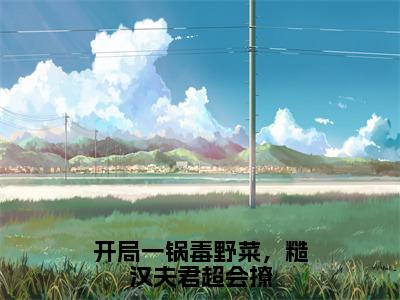 开局一锅毒野菜，糙汉夫君超会撩（江云岚）全文免费阅读无弹窗大结局_江云岚最新章节列表_笔趣阁（江云岚）