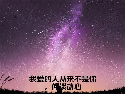 我爱的人从来不是你，何谈动心（沈岚佳）全文免费阅读大结局_我爱的人从来不是你，何谈动心全文在线完本阅读