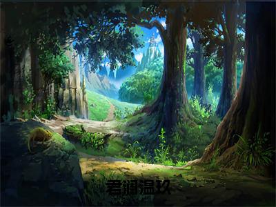 温玖君澜（君澜温玖）小说最新章节-君澜温玖全文免费阅读无弹窗大结局