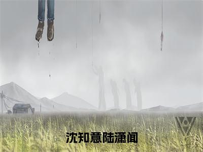 沈知意陆潇闻（沈知意陆潇闻）全网首发小说-小说沈知意陆潇闻（沈知意陆潇闻）完整版全文在线赏析