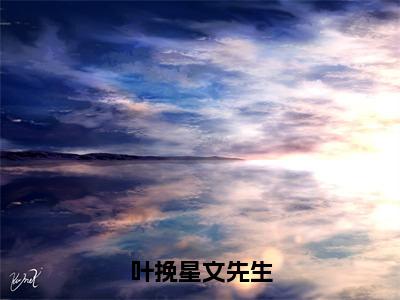 叶挽星文先生全文免费在线阅读_叶挽星文先生全文免费阅读无弹窗大结局