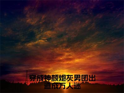 小说《穿成神颜炮灰男团出道成万人迷》全文免费阅读无弹窗-青梧小说全文在线赏析_笔趣阁