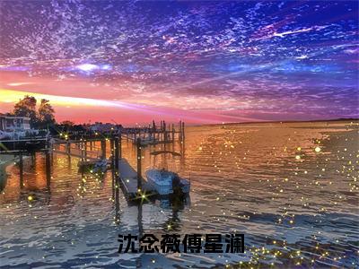 《沈念薇傅星澜》全文免费阅读无弹窗大结局-沈念薇傅星澜无弹窗阅读