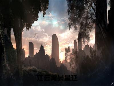 无广告小说江云雾晏星延全文免费阅读无弹窗大结局-江云雾晏星延川在线阅读